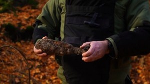 Policja ostrzega ? nie wszystko, co znajdziesz w lasach Mierzei Wiślanej jest bezpieczne.