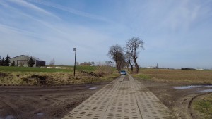 Malbork. Kiedy mieszkańcy ul. Kasztanowej będą mieli w końcu drogę? 