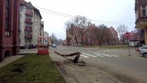 Malbork. Pijany kierowca skosił słup oświetleniowy na Jagiellońskiej ? grozi mu kara do 4,5 lat więzienia.