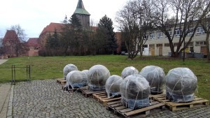 Malbork. Przestrzeń wokół Szkoły Łacińskiej wkrótce się zmieni. Wideo