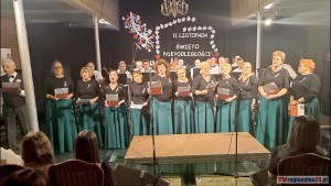 Zagrali i zaśpiewali dla Niepodległej ? wyjątkowy koncert w Nowym Stawie. Wideo 