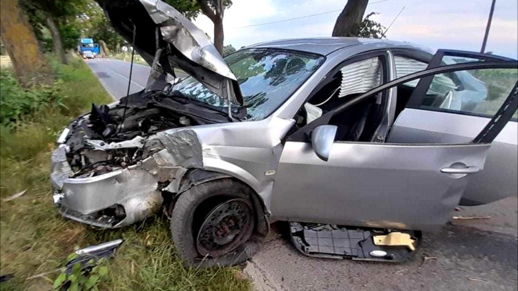 Gmina Stare Pole. Pijany kierowca uderzył w drzewo i uciekł z miejsca…