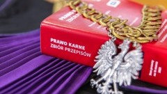 Alimenciarze coraz rzadziej słyszą wyroki. W sądach widać dwucyfrowy spadek liczby skazań [Dane MS]