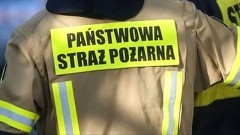 Powalone drzewa, zalana piwnica i gniazda os – tygodniowy raport malborskich służb mundurowych.