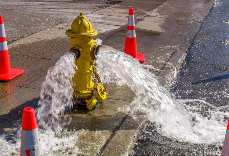Uszkodzony hydrant, pożar skrzynki elektrycznej i roje pszczół - tygodniowy…