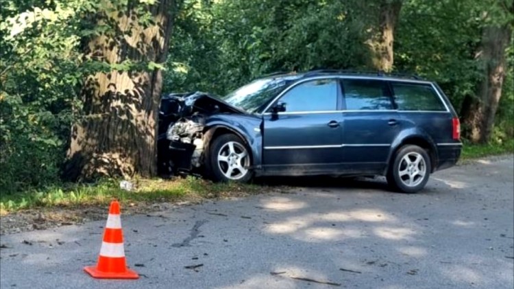 Zasnął za kierownicą i uderzył w drzewo – nietrzeźwy kierowca trafił…