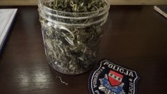UPRAWIAŁ KONOPIE W PRZYDOMOWEJ SZKLARNI