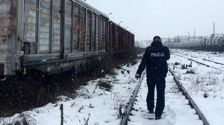 Malbork. Nie bądź obojętny na los bezdomnych – jeden telefon może…