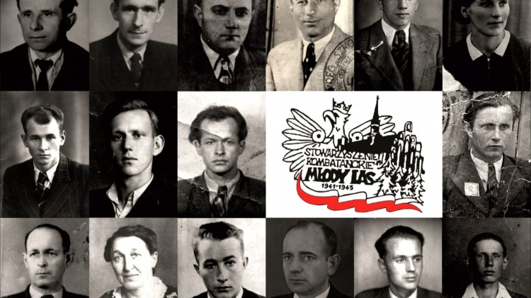 Malbork. Niech nam szumi Młody Las – nowa wystawa w Muzeum Miasta już…