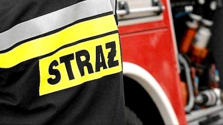 Kolizje, potrącenie i wypadek drogowy – tygodniowy raport malborskich…