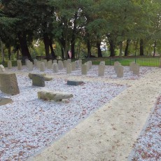 Malbork. ZGKiM zakończył budowę Parku Jerozolimskiego. Zobacz wideo…