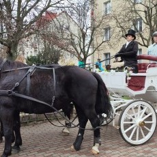 Uroczyste obchody Święta Niepodległości w Malborku - fotorelacja