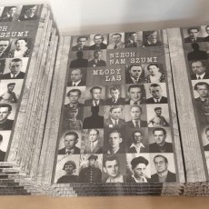 ?Młody Las? ? historia, która wciąż szumi w pamięci Malborka. 85.…